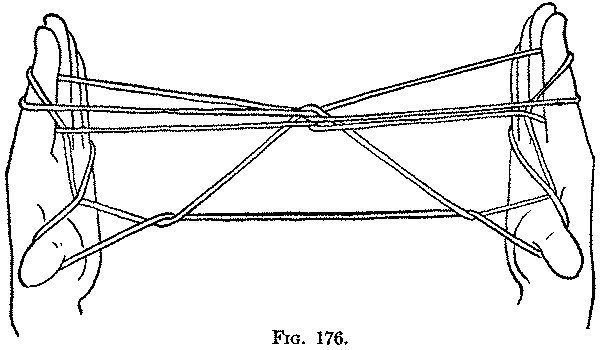 Fig. 176