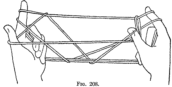 Fig. 208