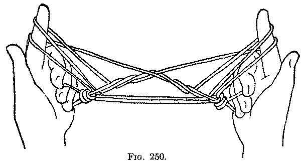 Fig. 250