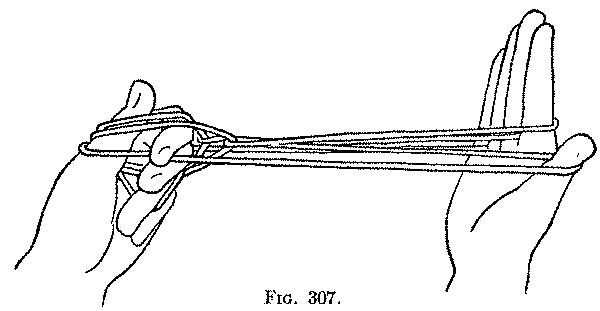 Fig. 307