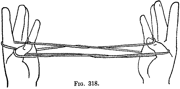 Fig. 318