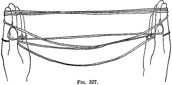 Fig. 327