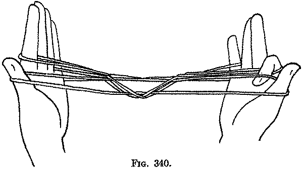 Fig. 340