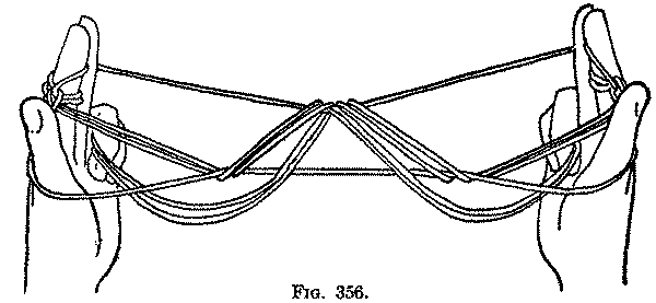 Fig. 356