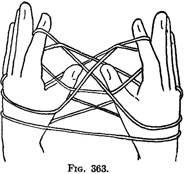 Fig. 363