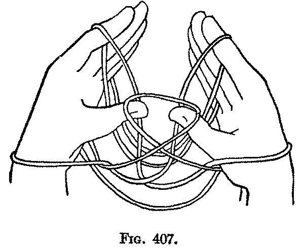 Fig. 407