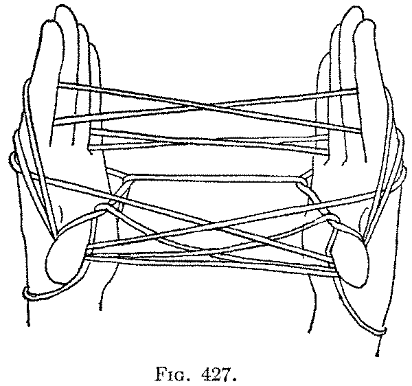 Fig. 427