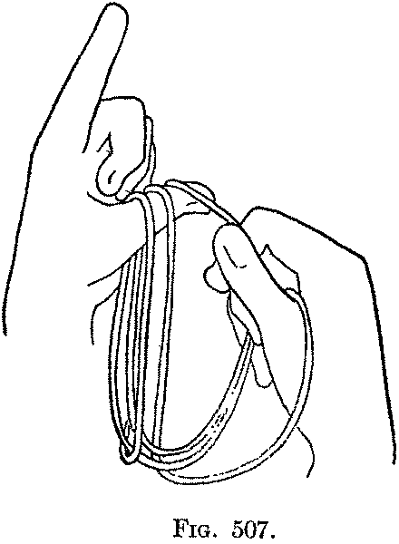 Fig. 507