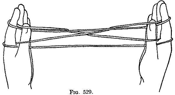 Fig. 529