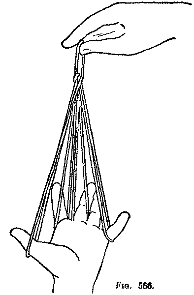 Fig. 556