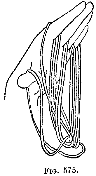 Fig. 575