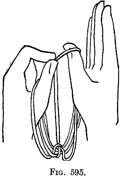 Fig. 595