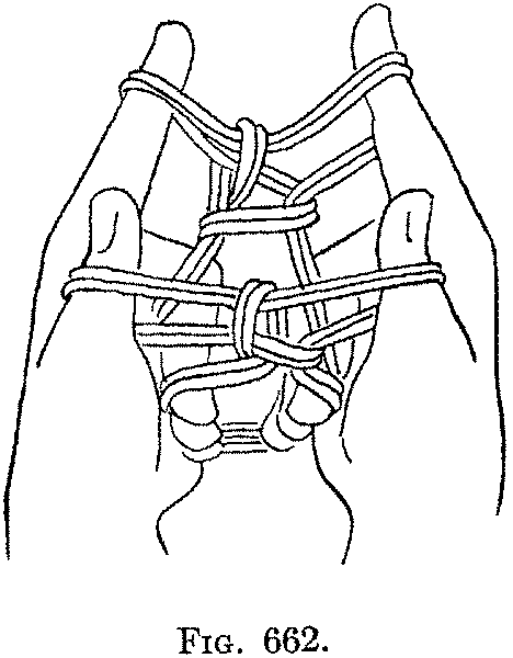 Fig. 662