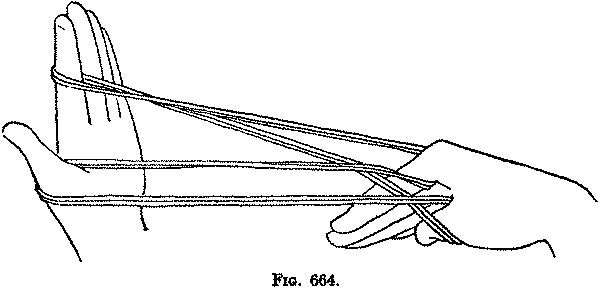 Fig. 664