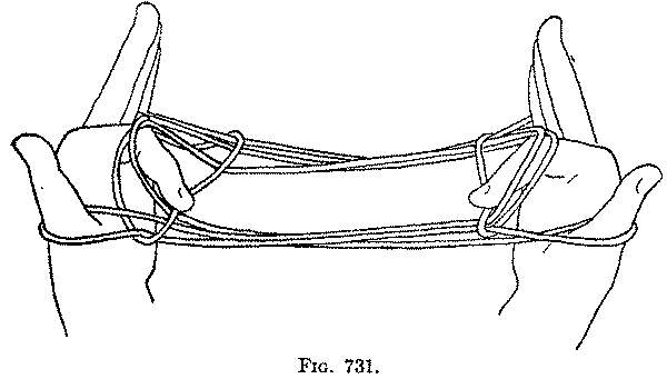 Fig. 731