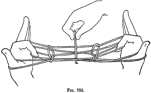 Fig. 732