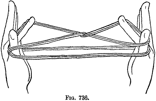 Fig. 736