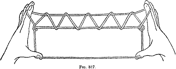 Fig. 817