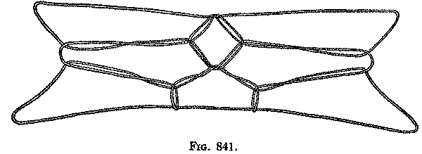 Fig. 841