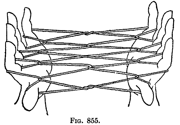 Fig. 855